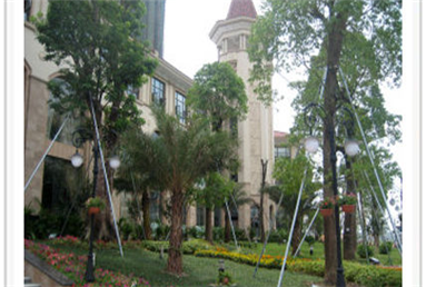 惠州龙光城五期自动门工程